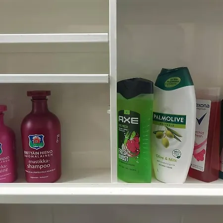 Viihtyisae Yksioe Keskustan Laehettyvillae *